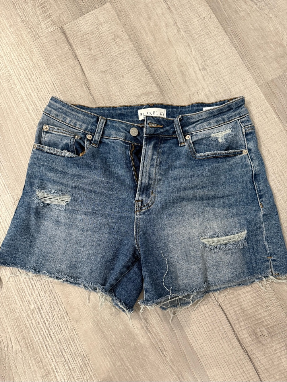 Blakeley Mid-Rise Distressed Denim Shorts in Blue